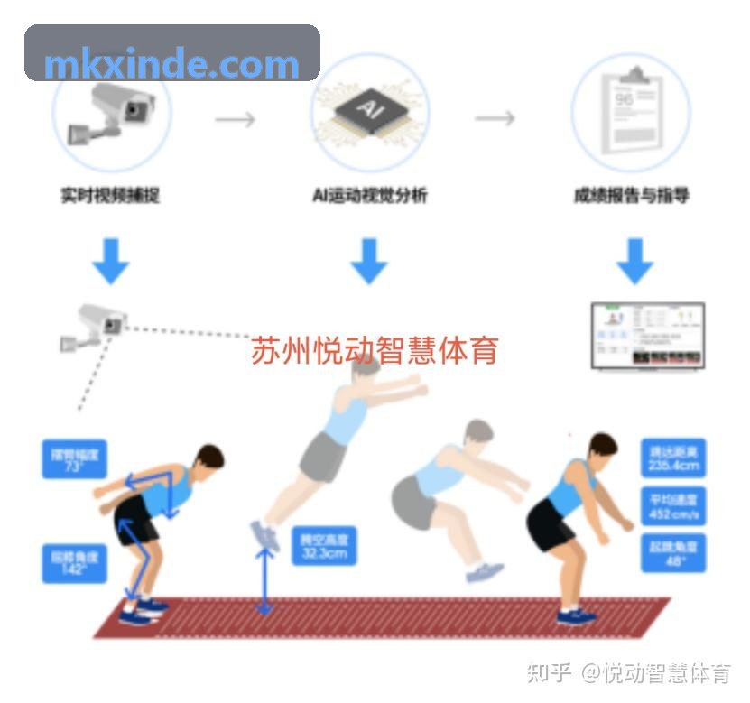 MK真人-体能科研主管反馈